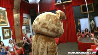 Amateurs in 'Crashing the club! Dancing Bear Style!'
