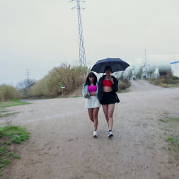 Athenea Rose en 'Bangbros' Clima hecho para el anal (Miniatura 88)