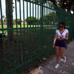 Jeleana en 'Bangbros' Gran Robo Canino (Miniatura 50)