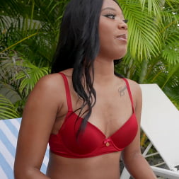 Journey Love en 'Bangbros' Conejo junto a la piscina (Miniatura 102)