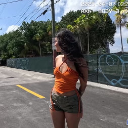 Luxe La Fox en 'Bangbros' En lo profundo de la madriguera del zorro (Miniatura 51)