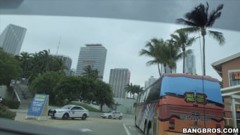 Pristine Edge 在 'Miami Tours, The Bangbus way'