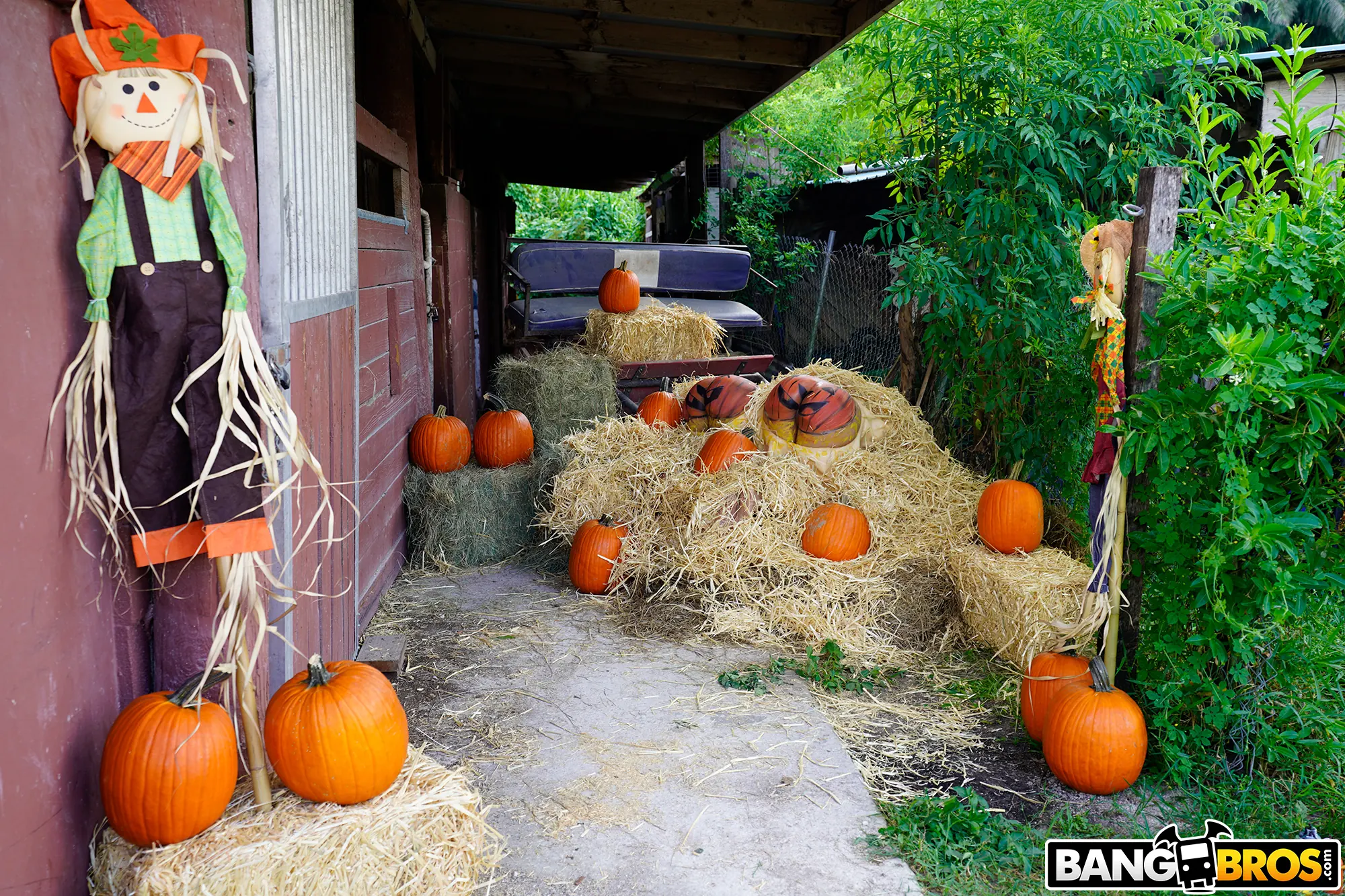 ▷ Rose Monroe in Pumpkin Booty Patch (Photo 2) | Bangbros