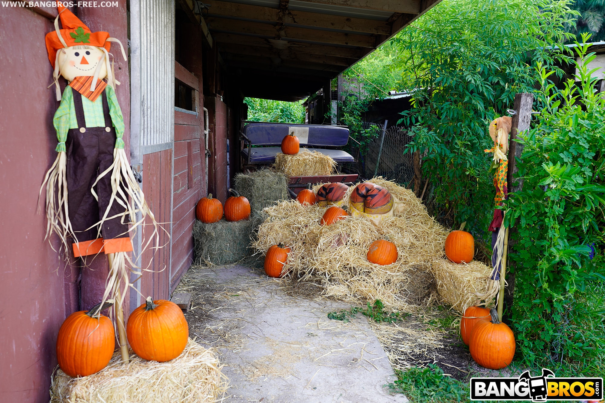 ▷ Rose Monroe in Pumpkin Booty Patch (Photo 3) | Bangbros