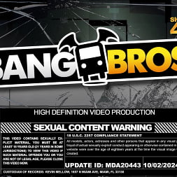 Zoey Foxx in 'Bangbros' Maid To Relieve Stress (Thumbnail 1)